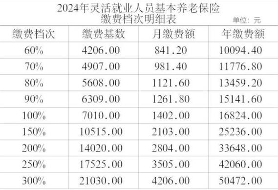 天津灵活就业社保2024缴费价格表