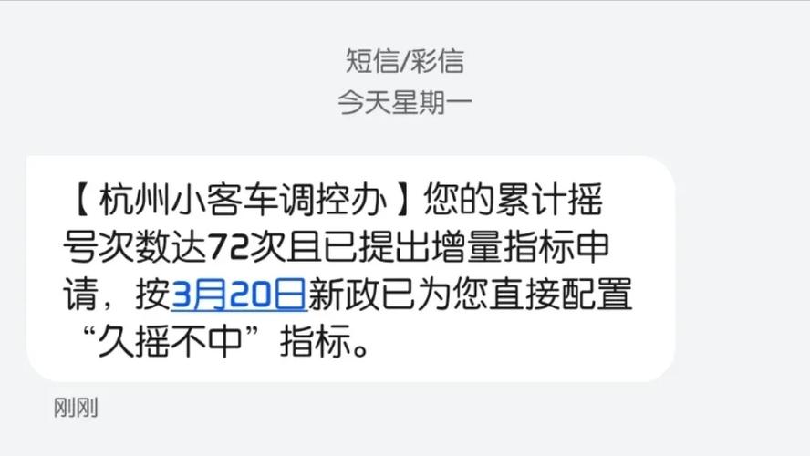 在北京摇到号了但是最近买不了车想问一下有没有什么办法把指标保留...